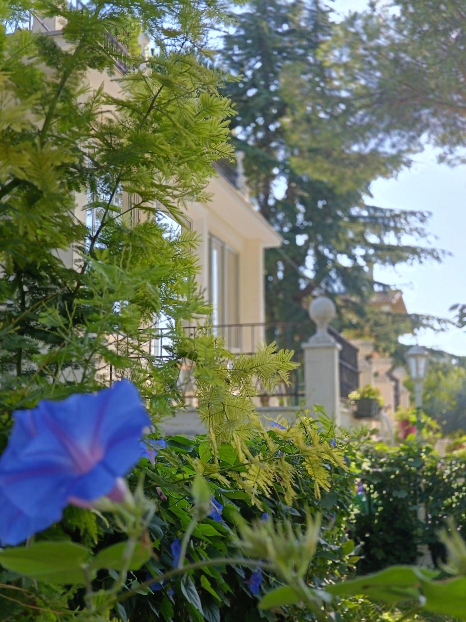 B&B Retro'Conero Castelfidardo Exterior photo